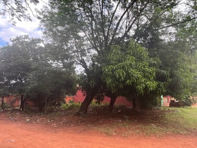En Venta Terreno en Esquina en Luque V191
