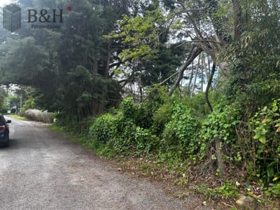 Oportunidad en Cantegril! Terreno de 1.047 m² en Punta del Este