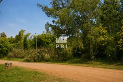 Terreno en venta en Sauce de Portezuelo - Ref : PBI15998