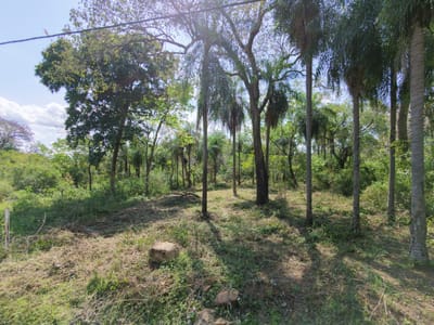 VENDO TERRENO EN SAN BERNARDINO - CIERVO KUA A PASOS DEL LAGO.