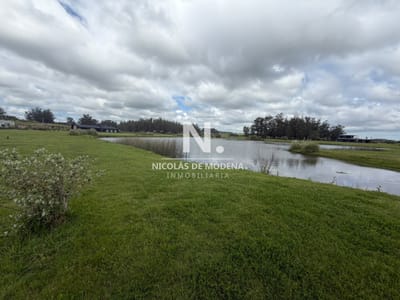 Terreno de 5.000 m² en El Quijote - La Barra