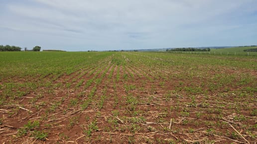 Hermoso Terreno para Loteamiento con Frente hacia Ruta PY07, Ubicación Estratégica