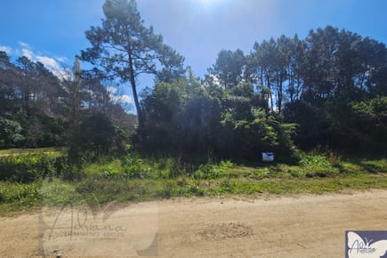Terrenos en Solis - excelente ubicacion  y muy arbolados