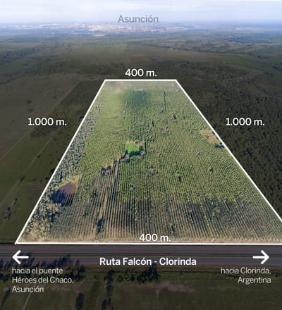 EN VENTA | Terreno de 39 Hectáreas con 400 Metros sobre Ruta a Falcón