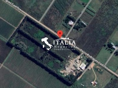 TERRENO DE 5.6 HECTAREAS CON GALPON DE 1000 M2