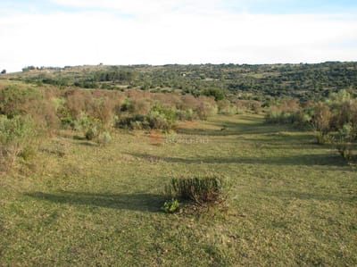 Venta de Chacra en Uruguay, Ruta 39, a 70 km de Punta del Este