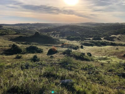 Espectacular opción!!! Venta de Chacra con Arroyo, 5 hás a pocos km de Minas, Lavalleja