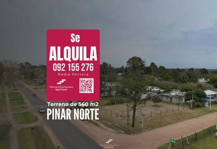 Terreno en alquiler de 560m2 ubicado en El Pinar