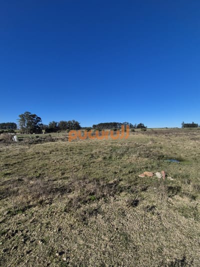 Campo en San Carlos,