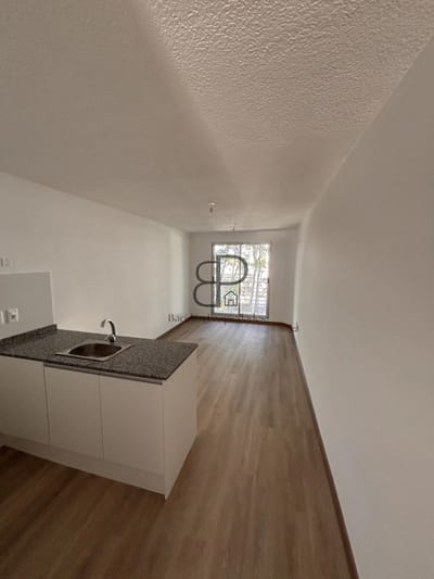 Alquiler Apartamento 1 Dormitorio Tres Crcues con baclon