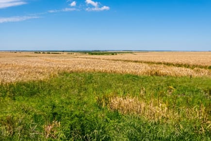 Chacra o Campo en Venta
