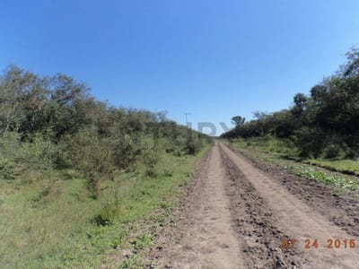 EN VENTA | Campo de 837 ha con 2 km sobre Ruta PY12 y Límite al Pilcomayo