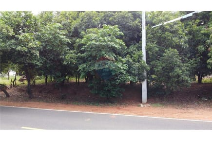 Terreno - Venta - Nueva Colombia, Cordillera, Paraguay