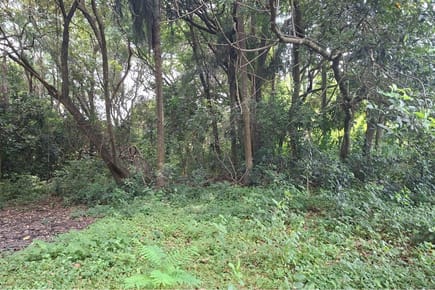 Terreno-Venta-Varón Coopens y Las Residentas, Altos, Cordillera