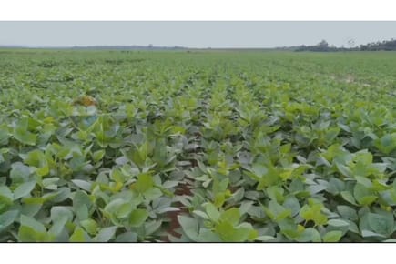 Vendo Propiedad Agrícola En Expansión Sojera