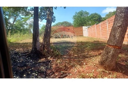 Terreno en venta – Luque Cañada Garay