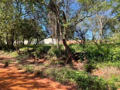 Terreno en Cañada Garay | Luque