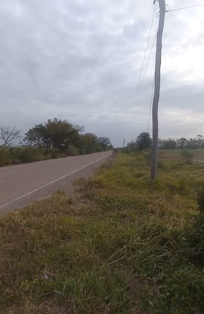 TERRENO EN VENTA SOBRE AVENIDA EN MONTERO