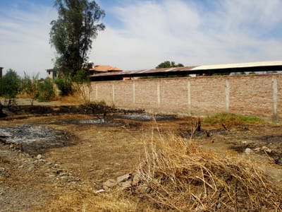LOTE AMPLIO