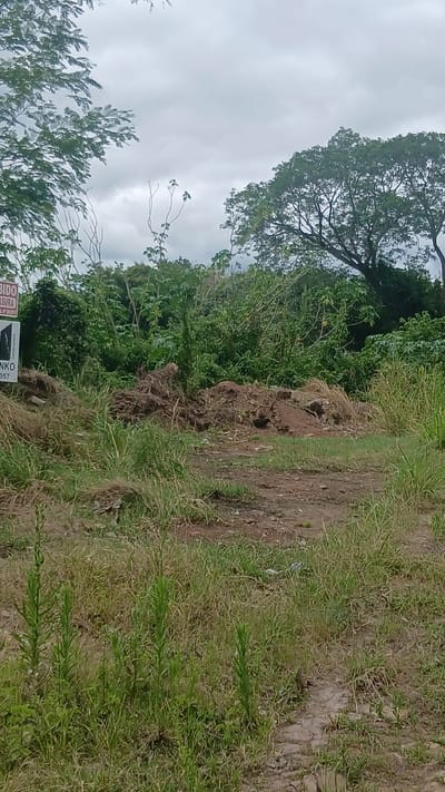 En venta 5 terrenos juntos amplios. Ideal para glamping. 