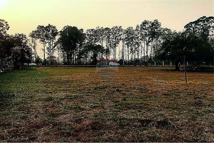 OPORTUNIDAD PARA INVERSORES | 1 HECTÁREA SOBRE RUTA LUQUE – SAN BERNARDINO 
