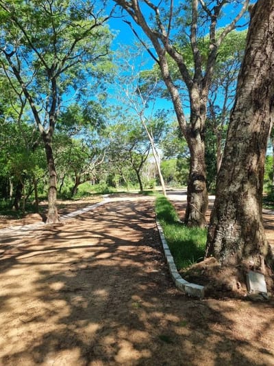 VENDO Terreno en Piedras Blancas - San Bernardino. ID 45557 