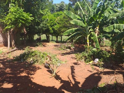 VENDO TERRENO EN ALDAMA CAÑADA ITAUGUÁ