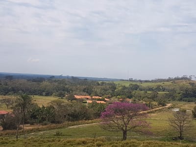 Propiedad Tamarindo