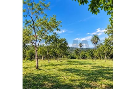 Terreno - Venta - Caacupé, Cordillera, Paraguay
