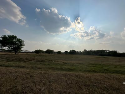 TERRENOS EN VENTA MUY CERCA DE LA PRÓXIMA NUEVA TERMINAL 