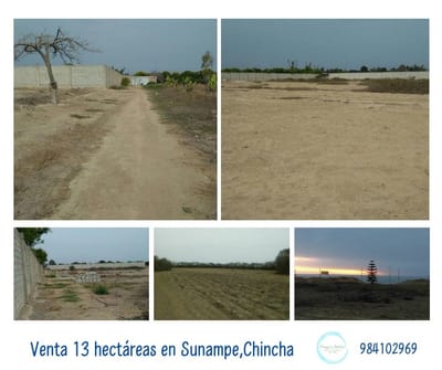 Venta 13 hectáreas en Sunampe Chincha