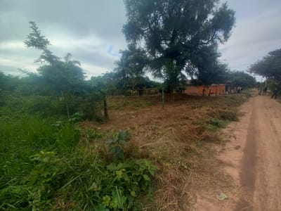 TERRENO AMPLIO EN EL MUNICIPIO DE COTOCA