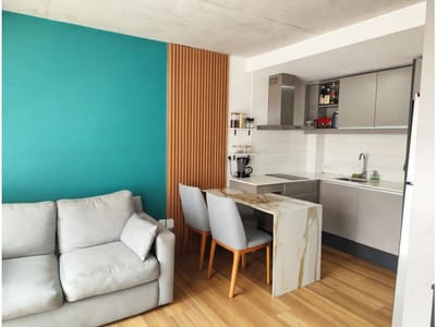 ALQUILER APARTAMENTO 1 DORMITORIO CON BALCON Y TERRAZA - MALVIN