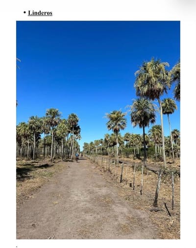  Estancia en venta – Oportunidad única en el Chaco Paraguayo 