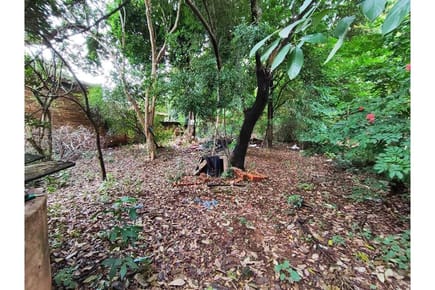 VENDO AMPLIO TERRENO EN LUQUE CAMPO GRANDE