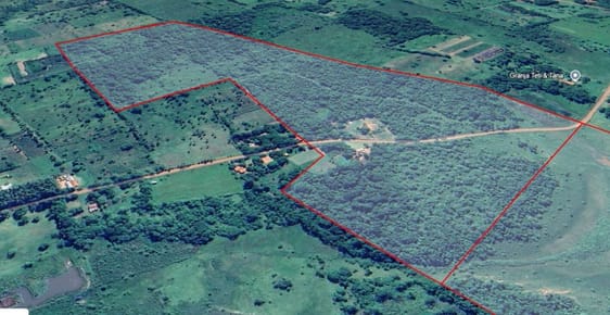 En venta 52 hectares