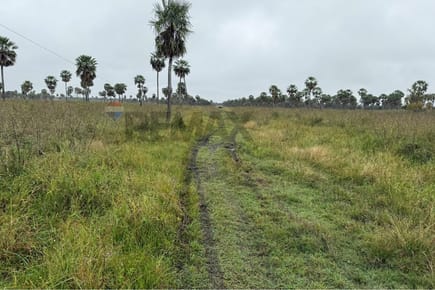 Terreno en Venta en Villa Hayes, Presidente Hayes