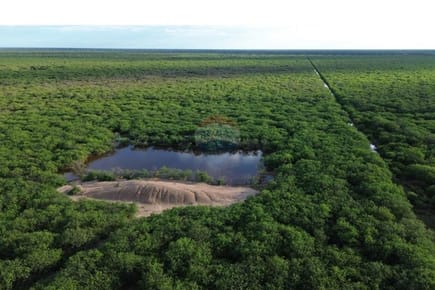 VENDO CAMPO EN PUERTO CASADO 312 HECTAREAS