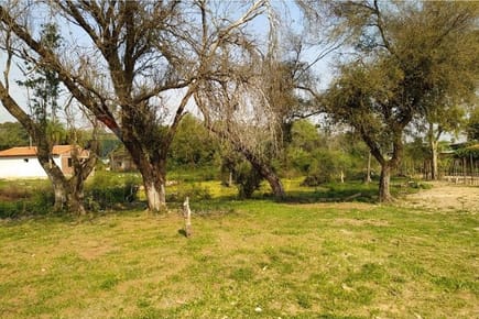 TERRENO EN VENTA - LUQUE