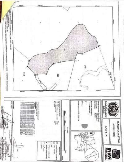 Propiedad Ganadera en venta en Laguna Concepción de 1535 hectáreas