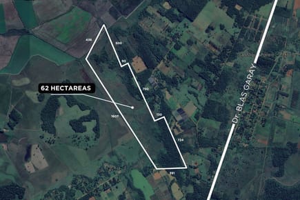 TERRENO DE 62 HECTAREAS EN CORONEL BOGADO