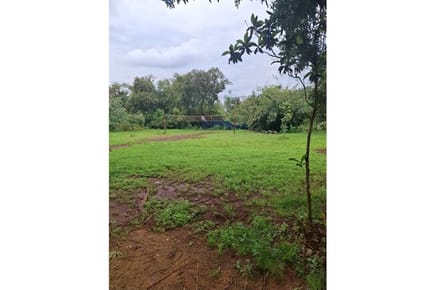 VENDO BUEN TERRENO EN ENCARNACION 