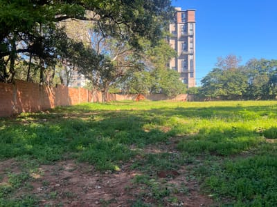 ALQUILO TERRENO 6814M² SOBRE PRIMER PRESIDENTE, MBURUCUYÁ