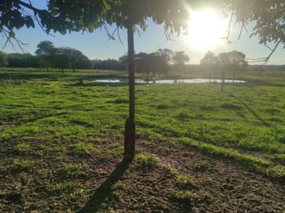 EN VENTA ESTANCIA DE 319 HECTAREAS EN LORETO CONCEPCION