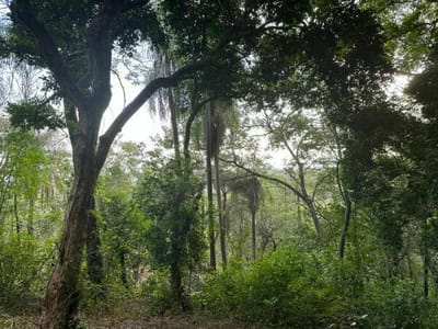 TERRENO EN VENTA YVY ANGUY PRIMERA