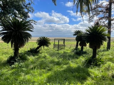 ???? GRAN ESTANCIA EN VENTA – MISIONES, PARAGUAY ????