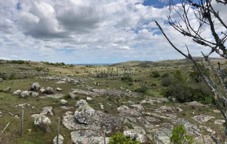 VENTA DE CAMPO DE 12 HAS  CAMINO AIGUA