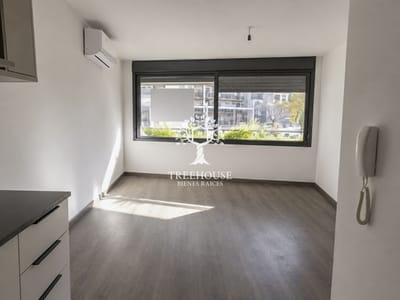 Alquiler monoambiente en Punta Carretas
