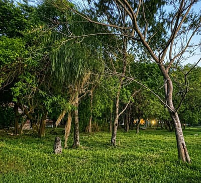 VENDO TERRENOS EN SAN BERNARDINO