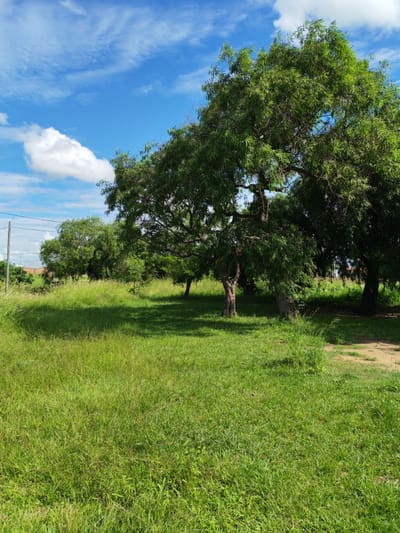Vendo Terrenos en Guarambaré | Barrio Alegre | Desde Gs. 320.000.000